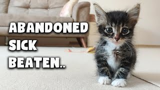 Abandoned Sick Kitten Gets a New Home by Kittiopia 1,255 views 3 years ago 2 minutes, 46 seconds