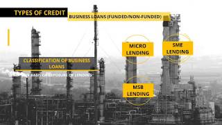 VIDEO#2 SYNOPSIS OF REGULATORY NORMS -NRB