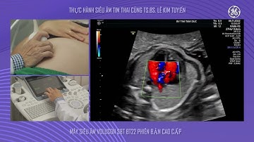 Siêu Âm Tim Thai Cùng Chuyên Gia - TS.BS. Lê Kim Tuyến