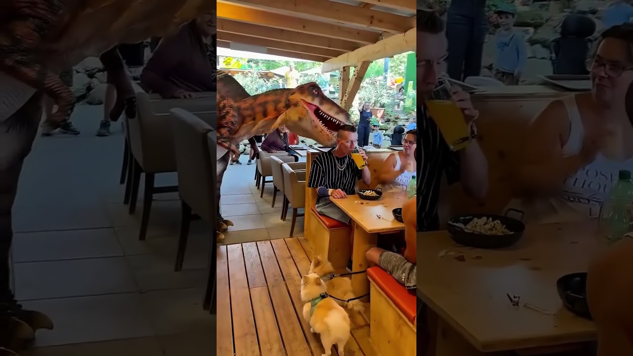 Dad vs Giant Dinosaur – You Won’t Believe What Happens Next!