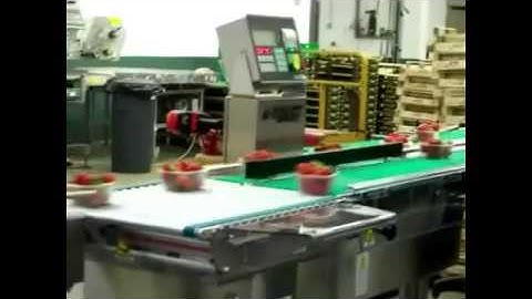 Emrich - Nemesis Checkweigher Sorting Lines