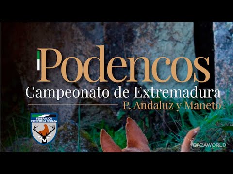 Entrega de premios Campeonato Extremadura Trabajo Podenco Andaluz y Maneto