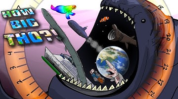 The Bloop Diet Size Comparison - Shark, Manatee, Earth?! #animation