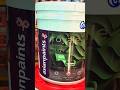 Asianpaints Royale Matt Luxury Emulsion. Color code 0765 - Morning Glory. Tinting #viral #shorts