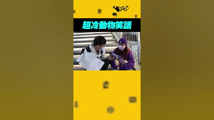 請給點耐心XD冷笑話番外篇！動物的營火晚會 @geesquad_et  #Shorts - 天天要聞