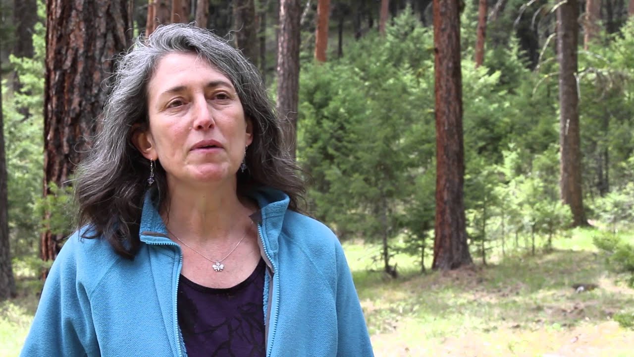 usda soil classification Meet Research Ecologist Carol Miller