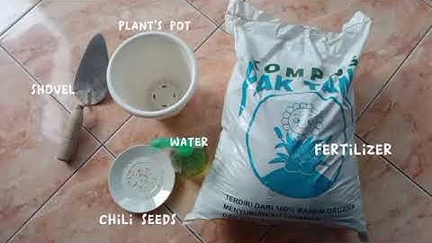 English Project Grade 9  : Procedure Text (Adiwiyata School: Planting)