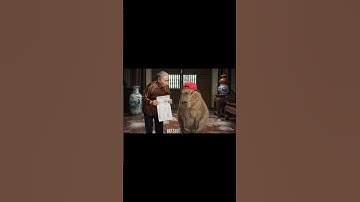 Cách capy trượt băng trong nhà giữa mùa hè nóng lực 🤓🤓 #ongbavaboss #capybara