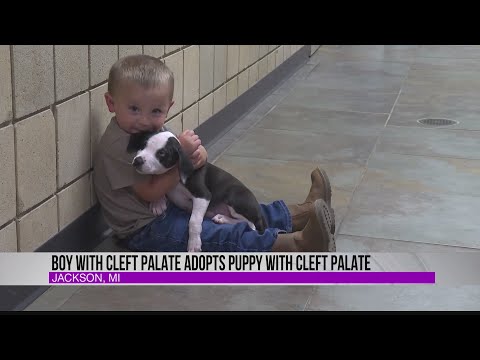 Boy-with-cleft-palate-adopts-puppy-with-cleft-palate