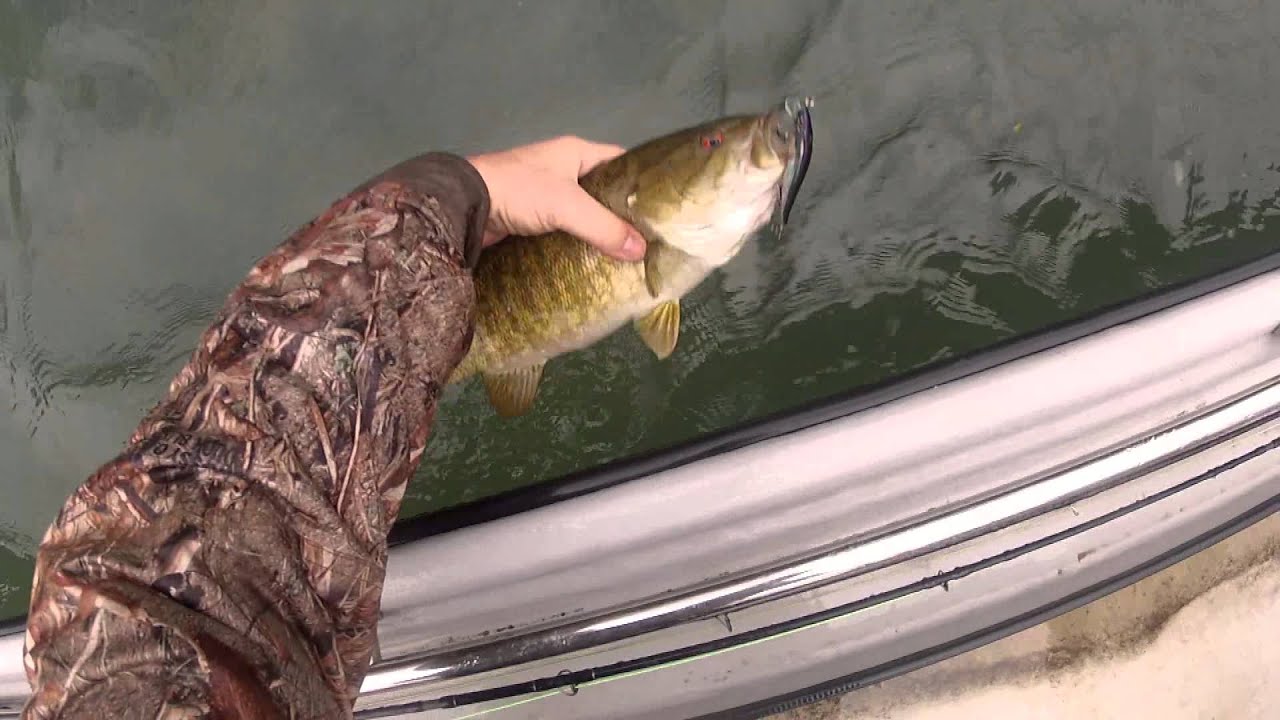 Smallmouth fishing in the Rain. YouTube