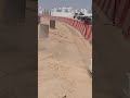 دك مسار الحفريات استعدادا للسفلتة Compacting The Excavation Path In Preparation For Asphalt دك مسار الحفريات استعدادا للسفلتة Compacting The Excavation Path In Preparation For Asphalt