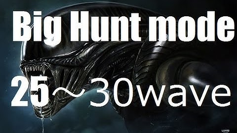 A:CM Bug Hunt mode25-30wave