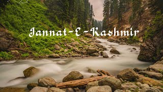 Offbeat KASHMIR in 3 days | 4K Cinematic Travel Video | Aharbal /Tulian Lake/Doodhpathri | Summer |