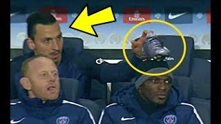 Funniest Moments On The bench ● You Surely Missed