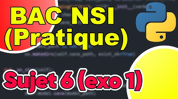 BAC NSI Sujet 6 Exercice 1 Correction -  Plus grand élément d