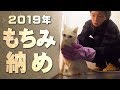 もちみを風呂に入れてから新年迎えようとしたら大変すぎた