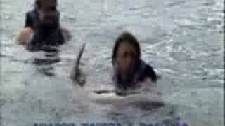 Dolphin Swim