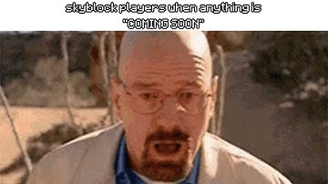 hypixel skyblock memes