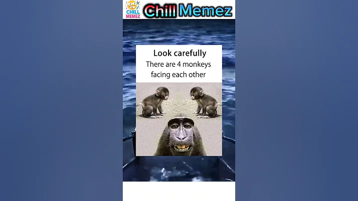 meme coin / funny memes #memes #funnymemes #memecoin #shorts