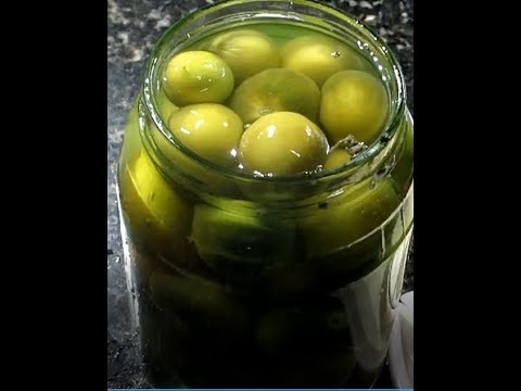 طريقه تخليل وكبس البندوره الفجه how to pick a tomato