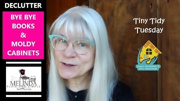 TINY TIDY: BASEMENT_BOOKS & MOLDY CABINETS DECLUTTER/collab with @TheHelpfulHome