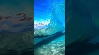 Amazing Nature Moments