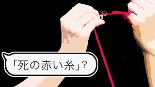 『死の赤い糸』って知ってる？【TELLER】