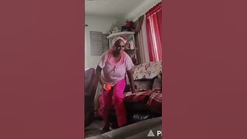 Pet short#Dog fetch#Jump High