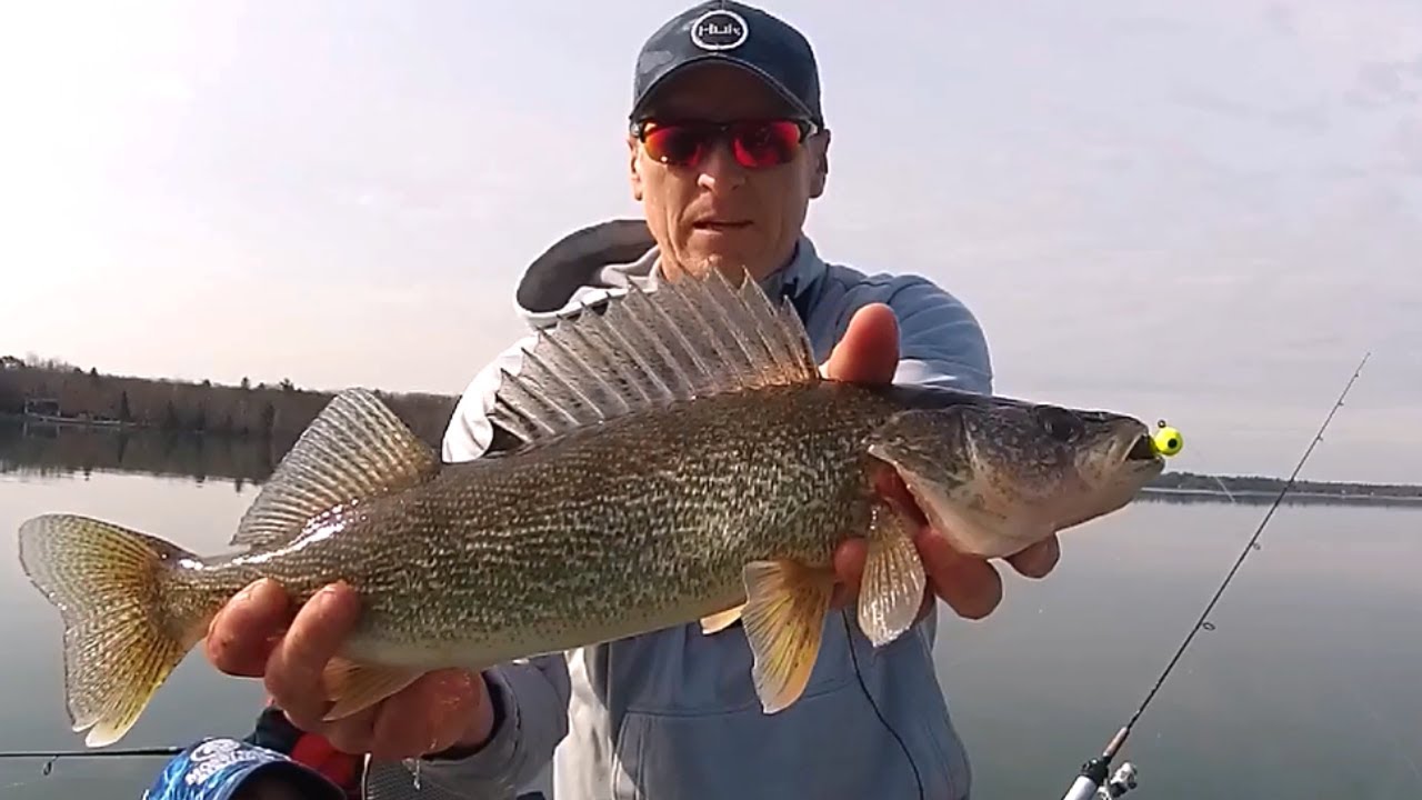 Michigan Walleye Opener YouTube