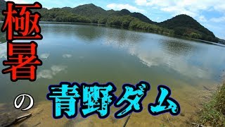 【バス釣り】極暑の青野ダム おかっぱり初挑戦!!【夏休み】