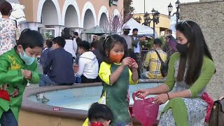 Despite Pandemic, Large Bay Area Crowds Celebrate Year of the Ox