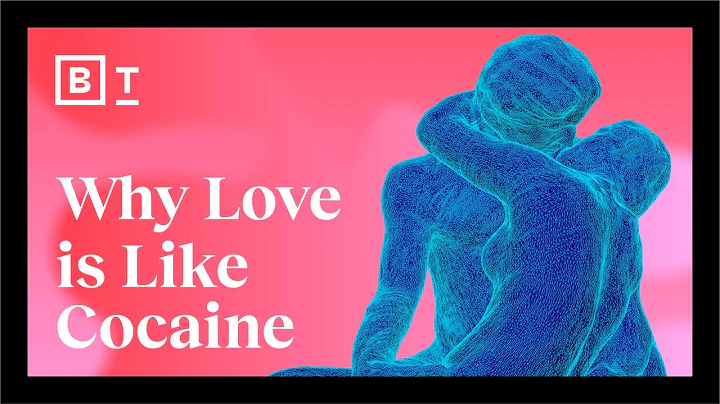 The science of sex, love, attraction, and obsession | Big Think - DayDayNews