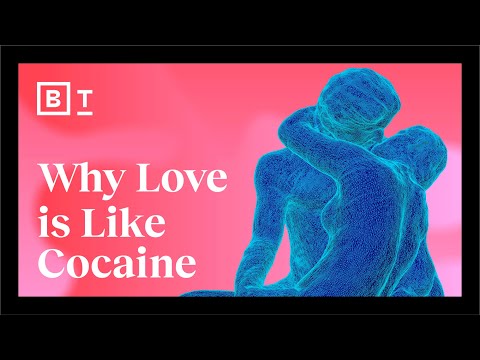 The Science Of Sex, Love, Attraction, And Obsession | Big Think