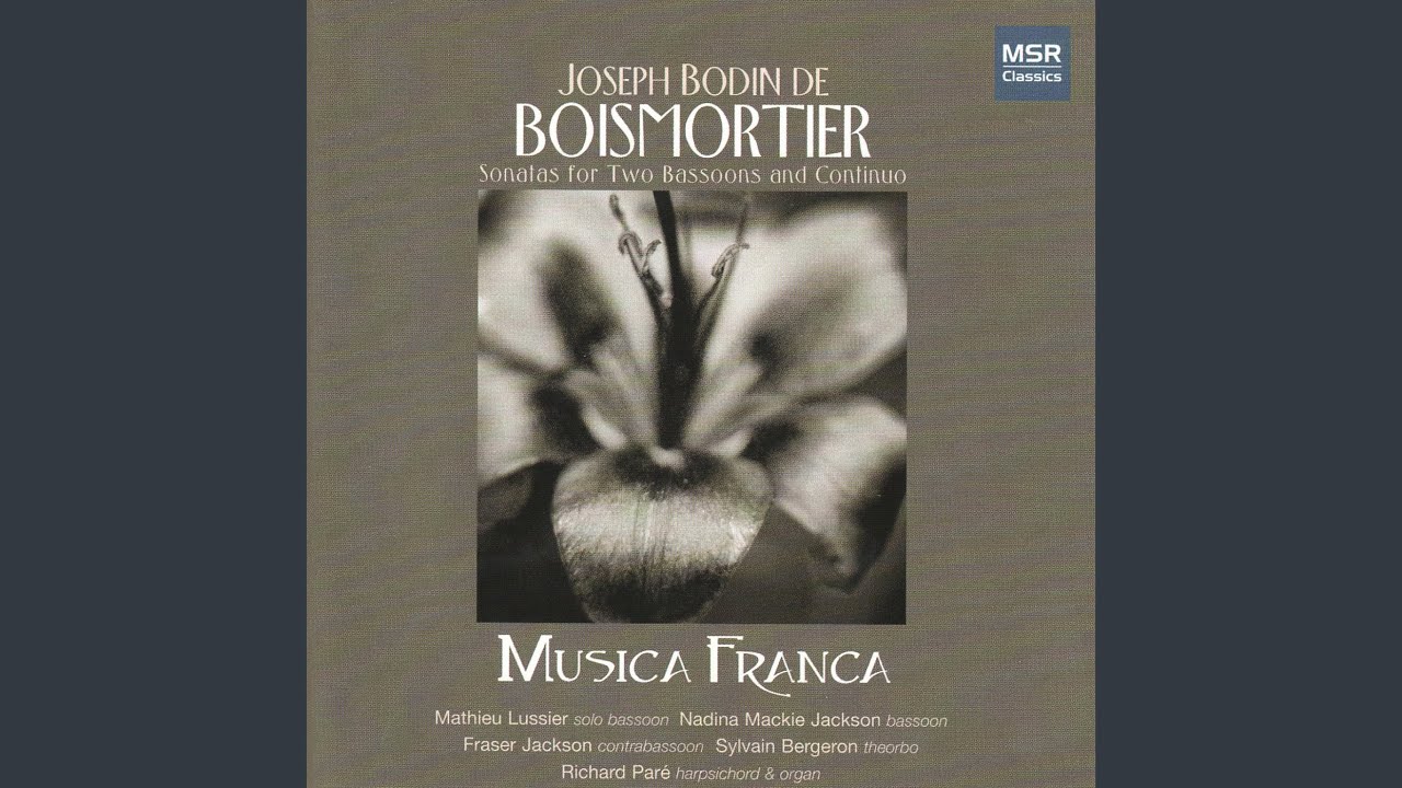 在 YouTube 上觀看「Sonata No. 2 in A Minor, Op. 26: III. Largo」