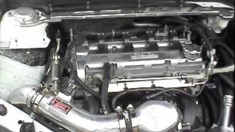 Albino Skunk/2008 2.2L Chevy Cobalt Special Edition