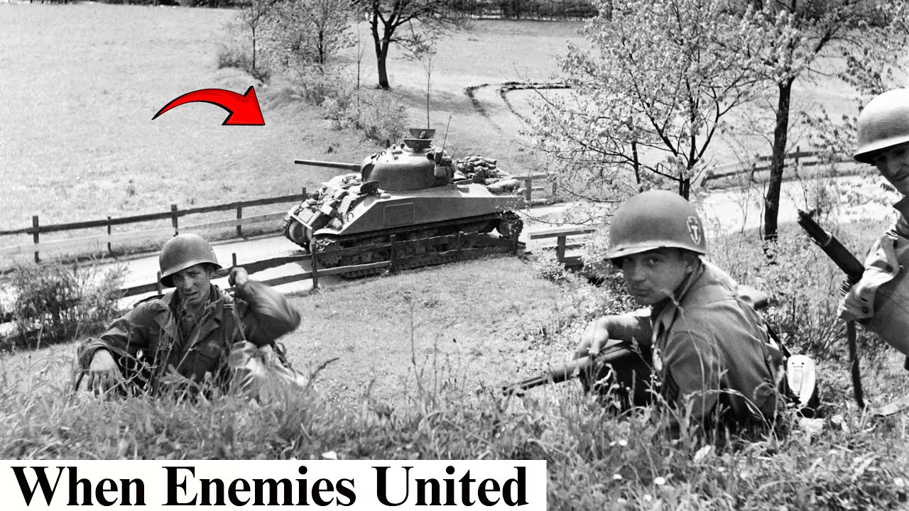 Americans Couldn't Believe They Were Fighting Alongside Germans Against Other Germans