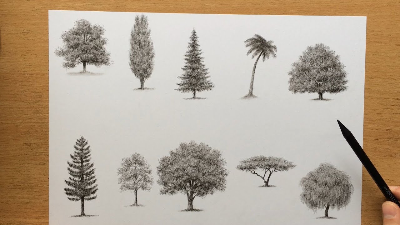 Charcoal drawing of a Tree [SIMPLE]