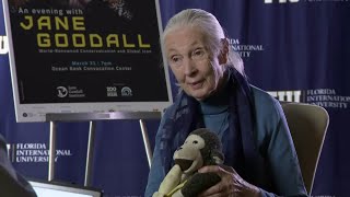 CBS News Miami interview with Dr. Jane Goodall