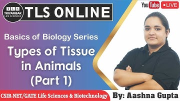 Basics of Biology Series: Types of Tissue in Animals (Part 1)
