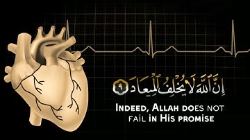 القران الكريم | سورة آل عمران | القارئ وديع اليمني | تلاوة خاشعة جدا 😌❤️ | حالات واتس اب