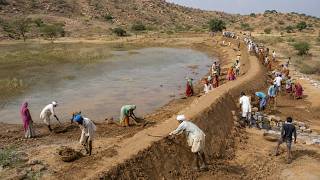 How India Dug a 140-Million-Liter Lake and Used Thousands of Cows to Revive Dead Land