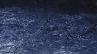 Scott asks for Biden for a Major Disaster Declaration