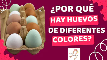 ¿Los huevos de pájaro azul son blancos alguna vez?