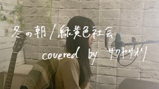 冬の朝緑黄色社会