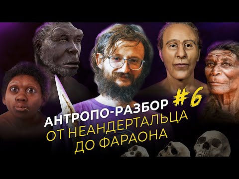 От неандертальца до фараона. Станислав Дробышевский. #Антропоразбор 6