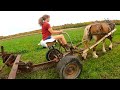 DRAFT HORSE FARMING: Lady and Brenda Ted Third Cut Hay & An Update on our Barn Wall