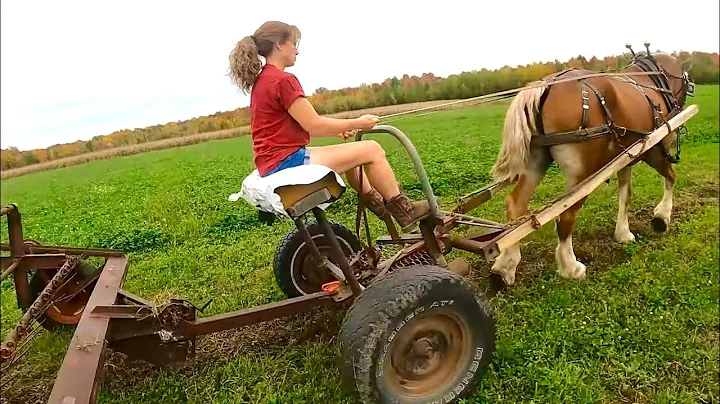 DRAFT HORSE FARMING: Lady and Brenda Ted Third Cut...
