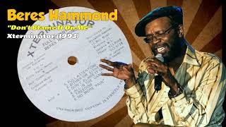 Beres Hammond - Don&#39;t Blame It On Me (Xterminator) 1993