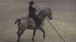 Cowboy Dressage Freestyle with Lesley Deutsch screenshot 5