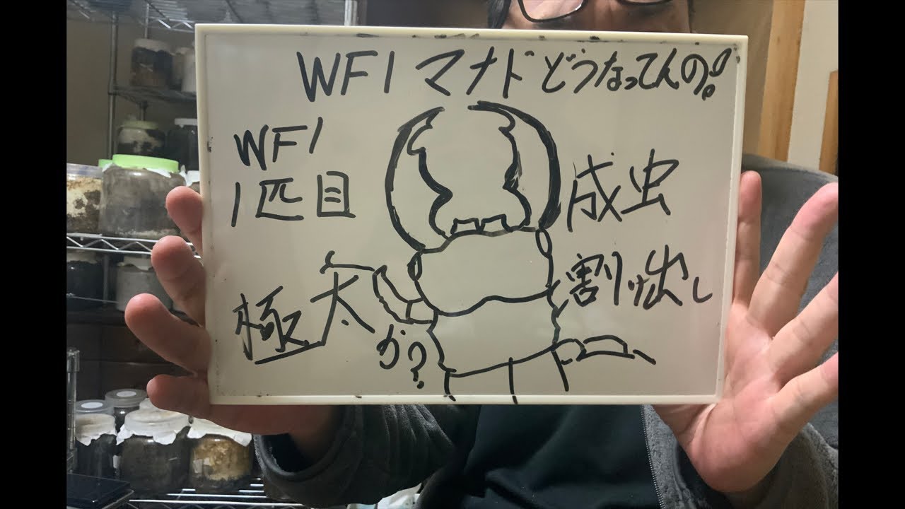 チャンネルキューティーアニマル がライブ配信中！